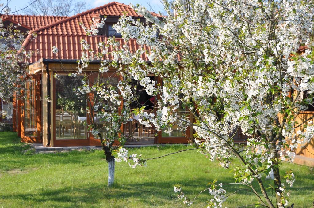 Gosciniec Gryszczeniowka & Spa Wargowo Exterior photo